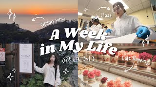 A Week in My Life @UCSD! ~美國大學留學生的一周🇺🇸 *Ep.1