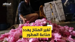 تغير المناخ يهدد صناعة العطور.. شاهد ما الذي حدث في بلغاريا