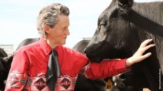 Temple Grandin: The World Needs All Kinds of Minds (Part 1 of 3)
