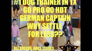 TOP NOTCH DOG TRAINING AMERICAN ESCIMO HOUSTON TX 8328454680