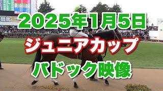 【4K動画】2025年ジュニアCパドック【ファンダム】