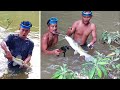 SANGAT MUDAH MENCARI IKAN BAUNG DI SUNGAI SAAT MUSIM KEMARAU