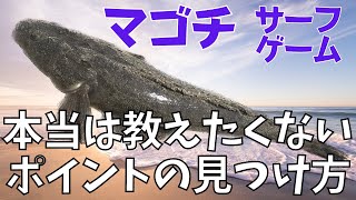 マゴチを釣りたい方へ！〇〇を見ればサーフのポイントがわかります！