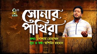 সোনার পাখিরা একে একে উড়ে যায় | Sonar Pakhira | Moshiur Rahman | Bangla Islamic Song