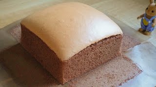 The Ultimate Jiggly Chocolate Castella Cake Recipe!