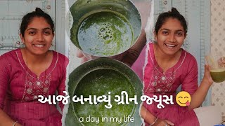 આજે બનાવ્યું ગ્રીન જ્યૂસ 😋 | Krina Variya#dailyvlog #vlog #daily #fun #greenjuice #dailylife