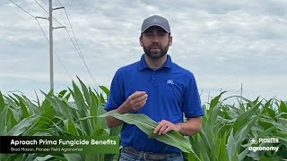 Aproach® Prima Fungicide: Benefits for Your Operation