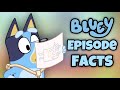 One Fact From Every Bluey Episode