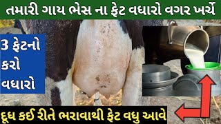 શું મિત્રો તમારી ગાય ભેસ ના દૂધના ફેટ કઈ રીતે વધારી શકો મફતમાં ખર્ચા વગરના તમારી ગાય ભેંસના એશેમેશ