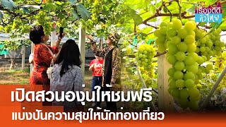 รองนายกทน.พิษณุโลกเปิดสวนองุ่นให้ชมฟรี  | เรื่องดีดีทั่วไทย | 20-1-68