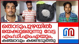 തൊടുപുഴയിൽ വാഹനപരിശോധനയ്ക്കിടെ കാറിൽ നിന്ന് മയക്കുമരുന്നും കഞ്ചാവും കണ്ടെടുത്തു  I  thodupuzha