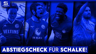 Abstiegscheck: Welche Chancen hat Schalke? Was macht die Konkurrenz? Restprogramm! | S04 Analyse