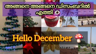 നിങ്ങൾ കാണാൻ ആഗ്രഹിക്കുന്നത് 👁️ 💔👁️ hello December 🍄💔🍄A day in my life ❤️‍🩹💔🍄