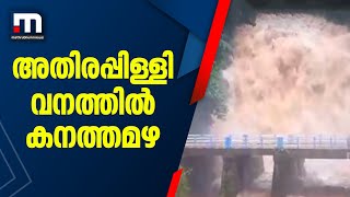 അതിരപ്പിള്ളി വനത്തിൽ കനത്ത മഴ; നിറഞ്ഞൊഴുകി ചാർപ്പ വെള്ളച്ചാട്ടം| Mathrubhumi News