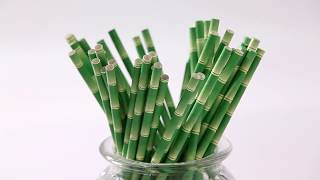 Eco-friendly bamboo paper straws