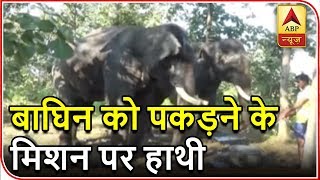 Namaste Bharat: Two Elephants Being used To Track Tigress In Maharashtra | ABP News