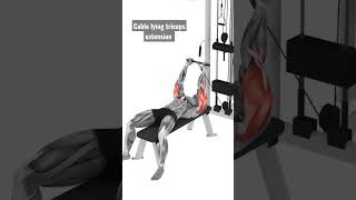 Cable lying triceps extension #shorts #short