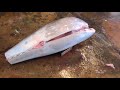 superb skills that how to cut bluefin tuna fluency and fastly