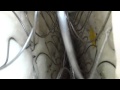 Duxiana Bed dissection