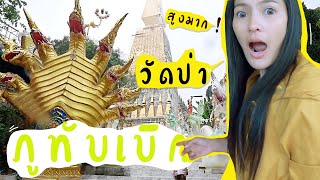 ไม่เห็นทางเลย หมอกเยอะมาก ไปวัดป่าภูทับเบิก - ตามหาทะเลหมอก ภูทับเบิก เขาค้อ EP.3