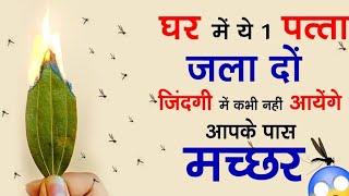 मच्छर काटना तो दूर आपके पास भी नहीं आ पाएंगे /मात्र 1 मिनिट में मच्छर भगाये | How to Kill Mosquitoes