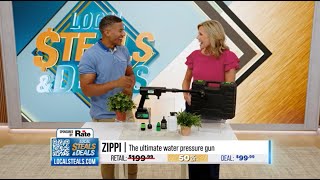 LOCAL STEALS & DEALS - Zippi