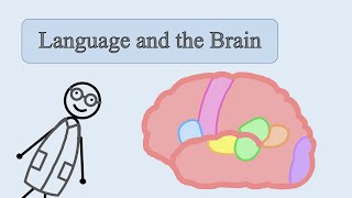 The Neuroscience of Language