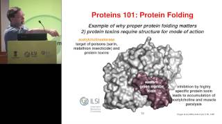 ILSI India: Protein Safety: Protein Toxicology (Speaker: Prof. Joseph Jez)