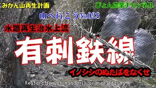 【みかん山再生計画】№028　水路再生も大詰め、有刺鉄線の効果は？