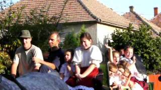 Szüreti felvonulás 2009.