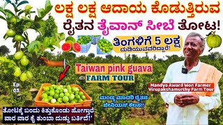 FARM TOUR-ತಿಂಗಳಿಗೆ 5 ಲಕ್ಷ ತೈವಾನ್ ಸೀಬೆಯಿಂದ! ತೋಟಕ್ಕೆ ಬಂದು ಕಿತ್ತುಕೊಂಡು ಹೋಗ್ತಾರೆ !E03-Virupaksha Murthy