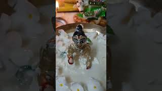 Bal Gopal ka snan karaya#radhe #gopal #shortsvideo #