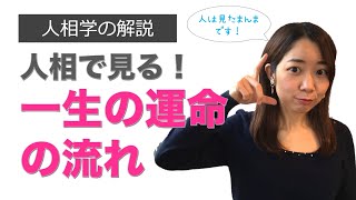 人相で見る！一生の運命の流れ（顔の三分割法）【人相学の解説♪】