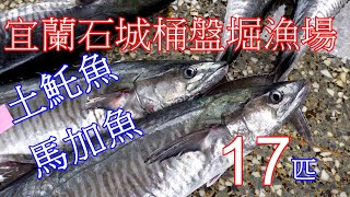 #信助哥愛分享の 宜蘭石城桶盤堀漁場 土魠魚(馬加魚)17匹 大豐收 2021/3/3