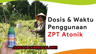 Waktu Tepat Gunakan ZPT Atonik Musim Hujan dan Kemarau!