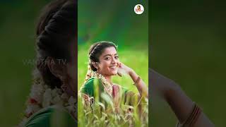 బాలీవుడ్ లో మరో ఛాన్స్ రష్మిక ఈసారి ఏకంగా | Rashmika New Movie With Salman Khan | Vanitha Tv