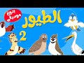 أنشودة الطيور  2  بدون موسيقى |  قناة أسرتنا