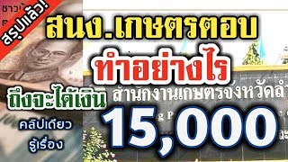 สรุป!! ทำยังไง สถานะแบบไหน ถึงจะได้เงิน 15,000 บาทแน่นอน #เงินเยียวยาเกษตรกร