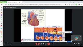 Bệnh mạch vành | Nội bệnh lý 2  Ctump -Ts.Bs Nguyễn Thị Diễm