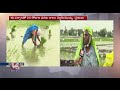 nizamabad farmers express happiness over rainfall farmers busy in cultivation v6 news