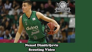 Nenad Dimitrijević Scouting Video