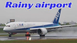 雨の空港　逆噴射がすごい！飛行機の離着陸　ANA＆JAL　B787・B737・Q400・A321neo・E190　大阪国際空港