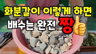 바위솔 화분갈이 환경과 여건이 되시는분 이렇게 해보세요 배수에 탁월합니다