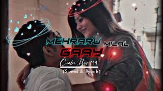 Mehraru milal gai lofi song|| slowed reverb || singer Pawan Singh||