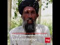 Grape Farming in Helmand