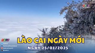 Lào Cai ngày mới (25/01/2025) | THLC