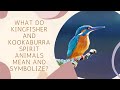 What Do Kingfisher and Kookaburra Spirit Animals Mean and Symbolize?