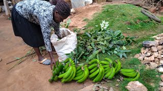 African village life: how to ribben banana fast in 3days#village #africavillage