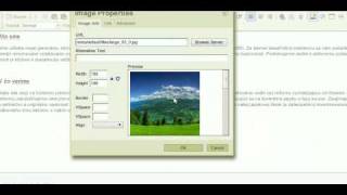 drupal imce image inserting