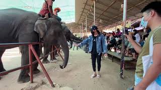 EP1/2🐘🇹🇭ชมการแสดงของน้องๆช้างที่ศูนย์คชศึกษา✌️